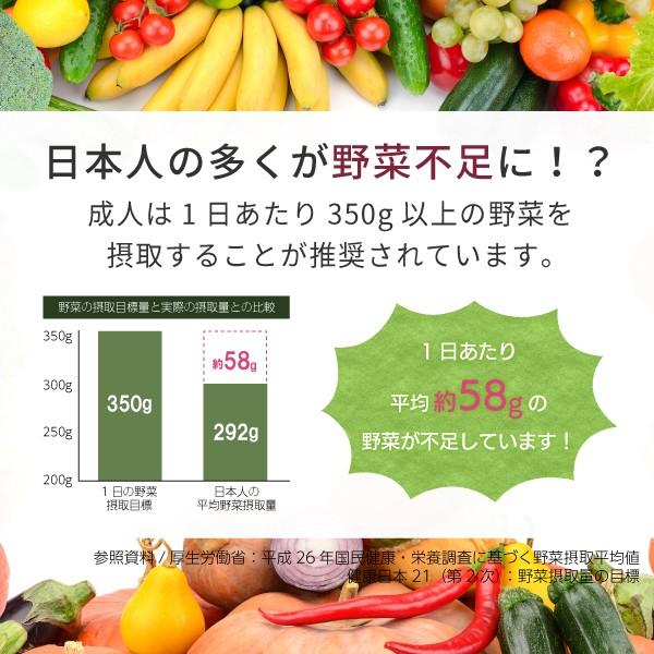 桑の葉青汁 パウダー 粉末 100g 有機 島根産（桑の葉茶 桑茶 国産 オーガニック）｜hogarakagenki｜07