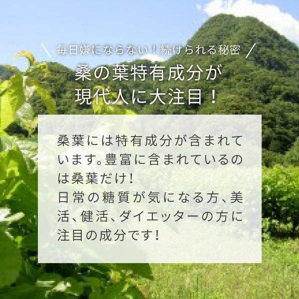 桑の葉青汁 パウダー 粉末 1kg 有機 島根産（桑の葉茶 桑茶 国産 オーガニック）｜hogarakagenki｜03