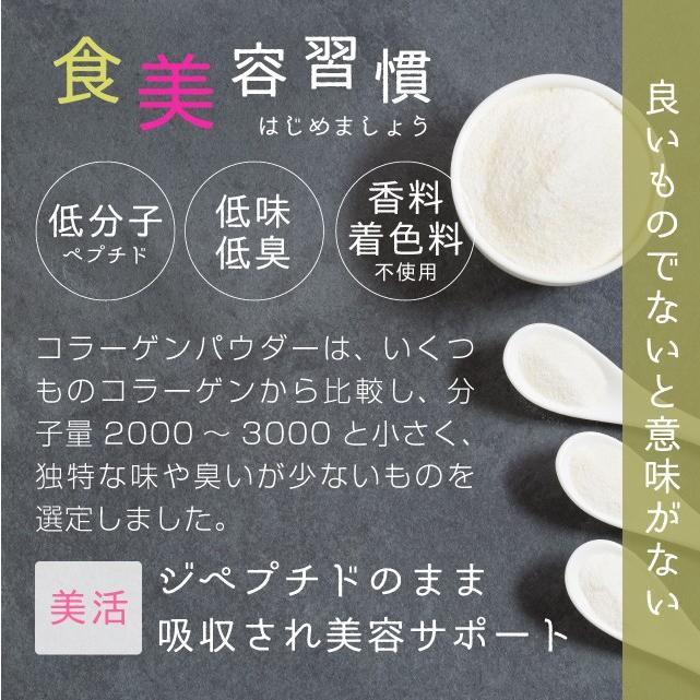 コラーゲン 粉末 100g フィッシュ サプリメント（コラーゲンペプチド 美容 collagen supplement）｜hogarakagenki｜03