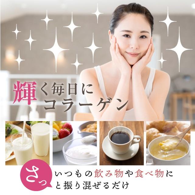 コラーゲン 粉末 100g フィッシュ サプリメント（コラーゲンペプチド 美容 collagen supplement）｜hogarakagenki｜09