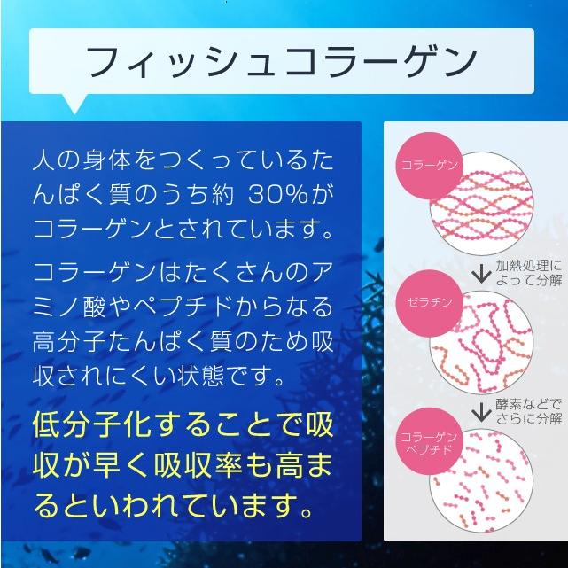 コラーゲン 粉末 500g フィッシュ サプリメント（コラーゲンペプチド 美容 collagen supplement）｜hogarakagenki｜05