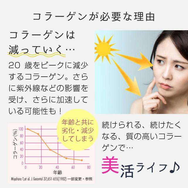 コラーゲン 粉末 500g フィッシュ サプリメント（コラーゲンペプチド 美容 collagen supplement）｜hogarakagenki｜06