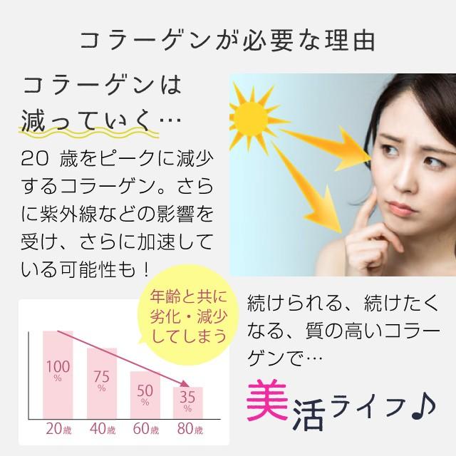 魚＆豚 コラーゲン 粉末 100% 各500gセット（コラーゲンペプチド 美容 collagen supplement）｜hogarakagenki｜06