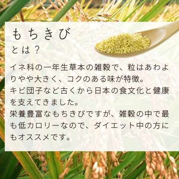 もちきび 950g 国産 岩手 北海道産 雑穀 Mochikibi 02 Nichie ニチエー 通販 Yahoo ショッピング