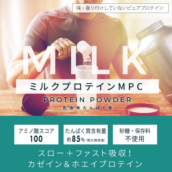 ミルク プロテイン Mpc 100g カゼインプロテイン ホエイプロテイン 100 パウダー 甘味料 香料無添加 Mpc 01 Nichie ニチエー 通販 Yahoo ショッピング