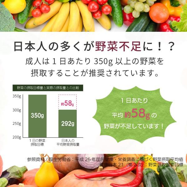大麦若葉青汁 粉末 400g 北海道産（国産 パウダー）｜hogarakagenki｜06