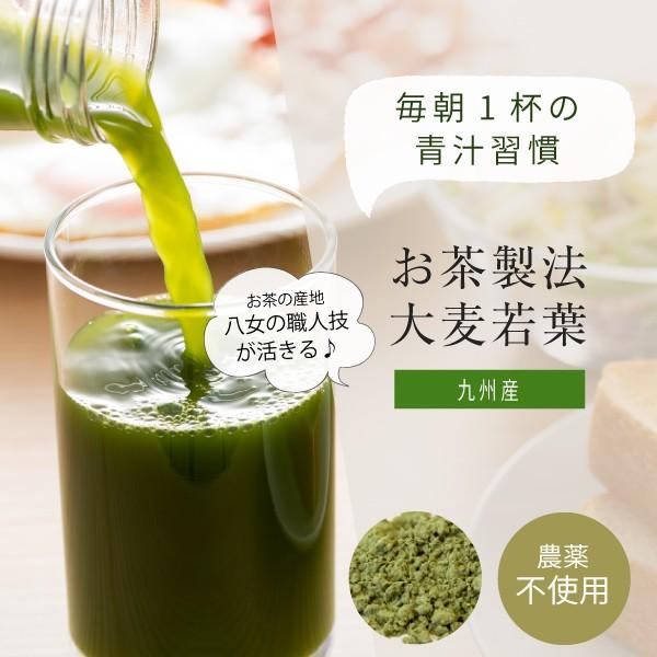 最終決算 大麦若葉青汁 粉末 100g パウダー） 九州産 茶製法（国産 青汁