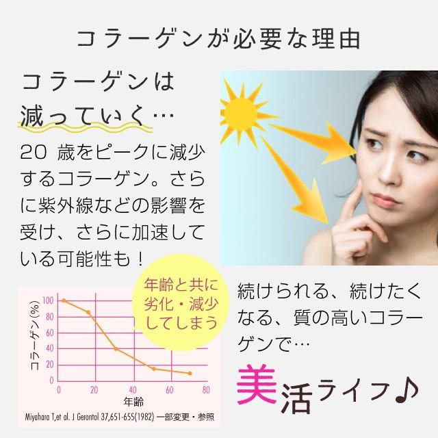 コラーゲン 粉末 500g ポーク サプリメント（コラーゲンペプチド 美容 collagen supplement）｜hogarakagenki｜06