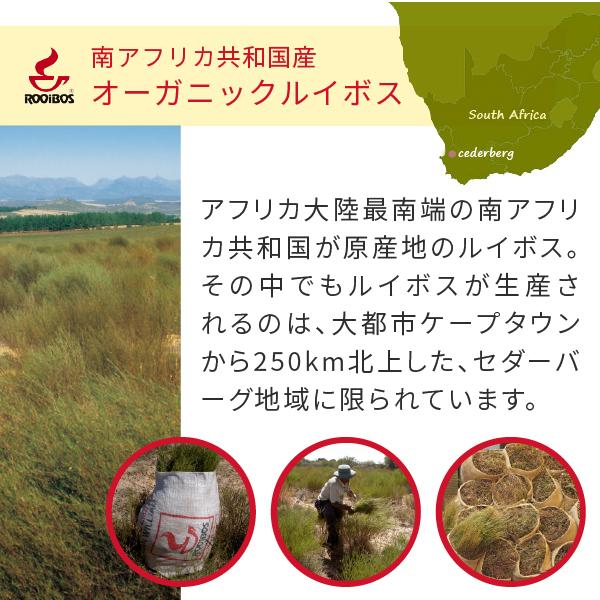 ルイボスティー オーガニック パック レッドマークJP16(旧スーペリア) 500g（ルイボス茶 有機 rooibos tea）｜hogarakagenki｜05