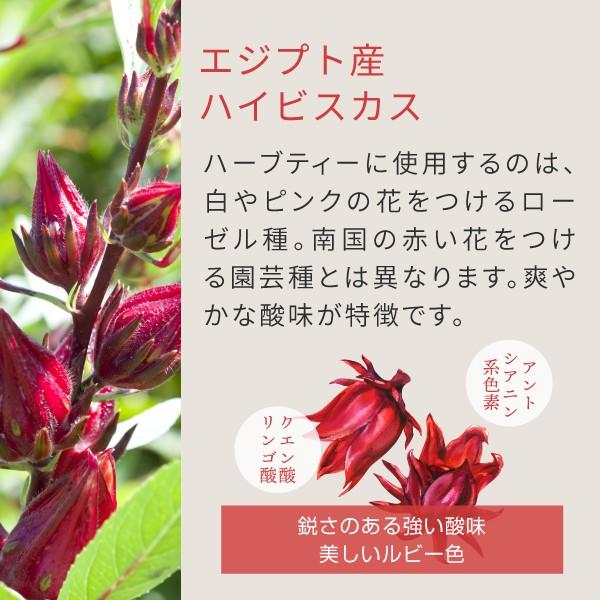 オーガニック ローズヒップティー ハイビスカスティー ブレンド 3g×70個（ローズヒップ ファインカット 有機 rosehip tea）｜hogarakagenki｜05