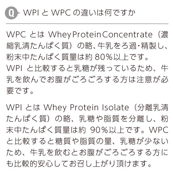 ホエイプロテイン WPI 100g プレーン味（ホエイプロテインアイソレート 100 パウダー 甘味料 香料無添加 プロテイン ホエイ）｜hogarakagenki｜11