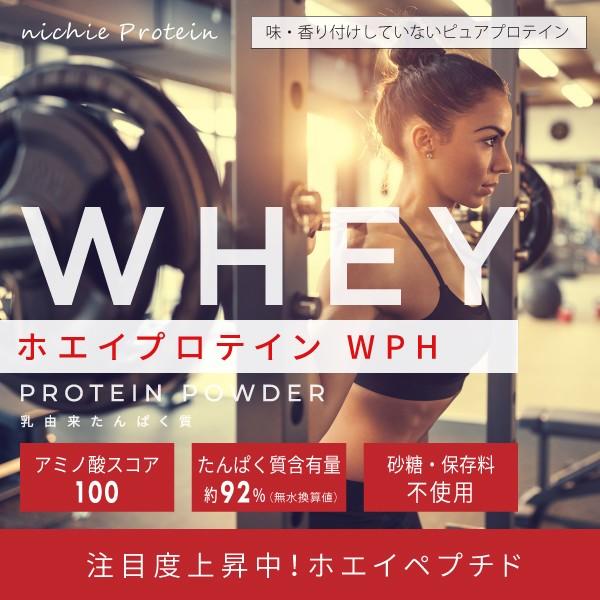 ホエイプロテイン WPH 3kg プレーン味（低分子 ホエイペプチド 甘味料 香料無添加 プロテイン ホエイ 100 パウダー）