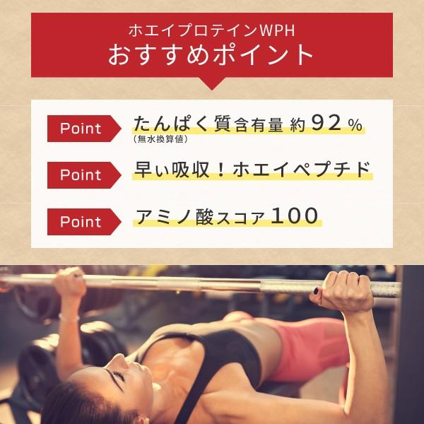 ホエイプロテイン WPH 3kg プレーン味（低分子 ホエイペプチド 甘味料 香料無添加 プロテイン ホエイ 100 パウダー）