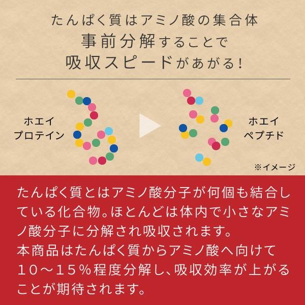ホエイプロテイン WPH 3kg プレーン味（低分子 ホエイペプチド 甘味料 香料無添加 プロテイン ホエイ 100 パウダー）