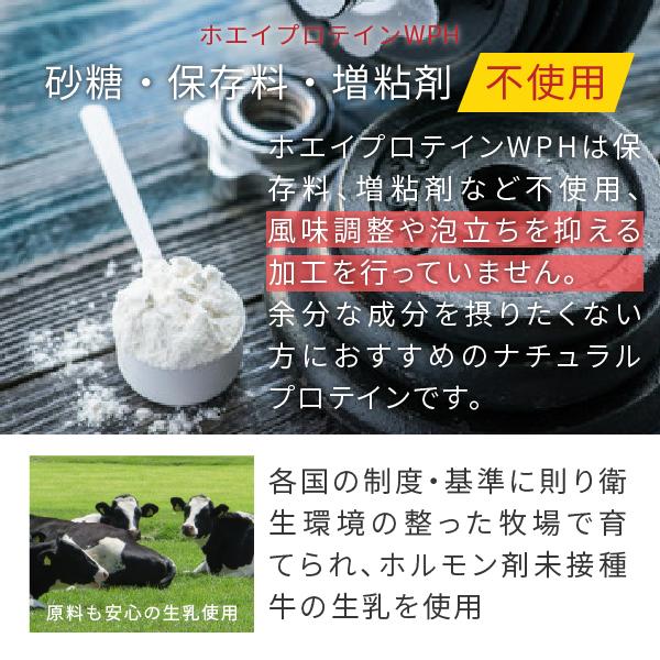 ホエイプロテイン WPH 3kg プレーン味（低分子 ホエイペプチド 甘味料 香料無添加 プロテイン ホエイ 100 パウダー）