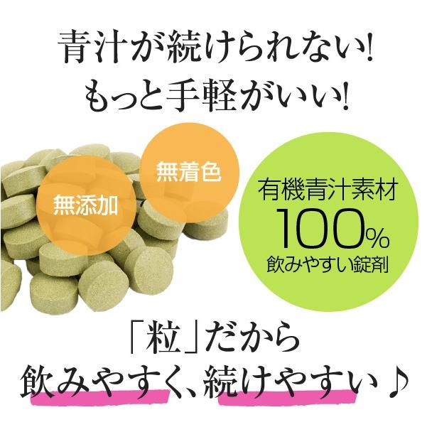 有機 青汁 サプリメント 150粒 大麦若葉 ケール 桑の葉茶 明日葉茶 オーガニック Supplement Yukiaotubu 01 Nichie ニチエー 通販 Yahoo ショッピング