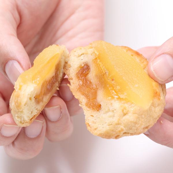 【りんご★sale】 GENUINE DENSO HEAVY DUTY DIESEL FUEL INJECTION PUMP 096000