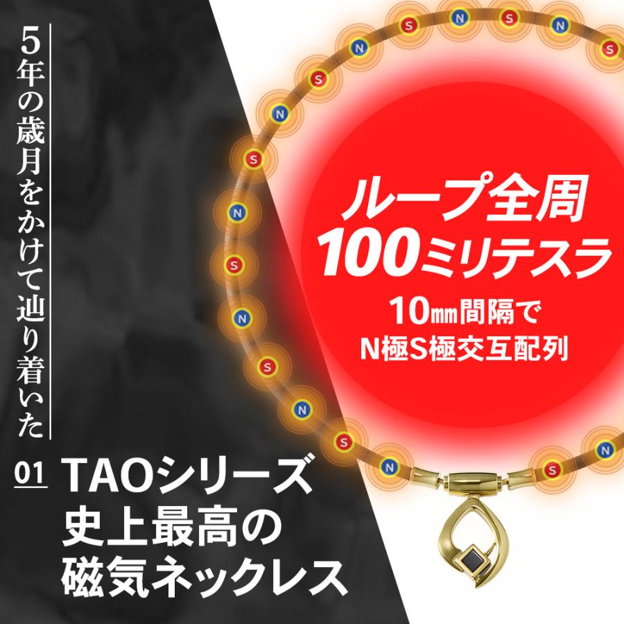 ColanTotte（コラントッテ） 磁気ネックレス TAO ARC タオ アーク