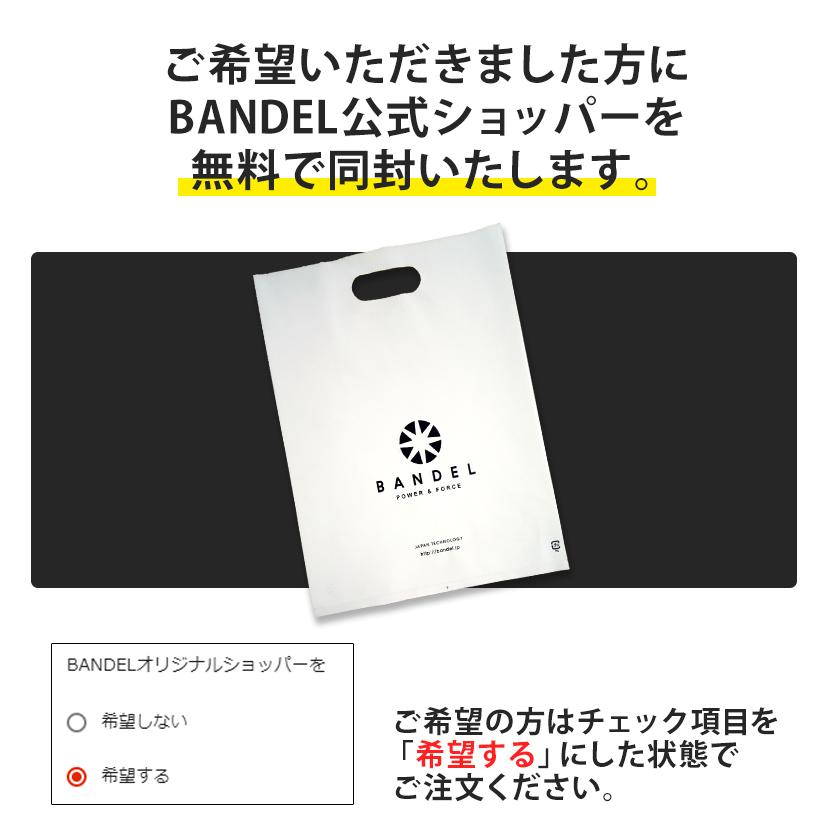 BANDEL（バンデル） 磁気ネックレス アース ヘルスケア メンズ