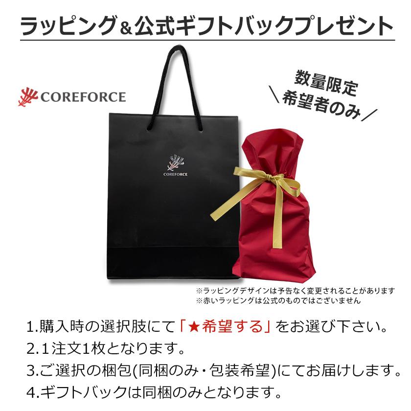 COREFORCE コアフォースループ 50 SUS ネックレス 50cm COREFORCE コアフォースループ 50 SUS ネックレス 50cm