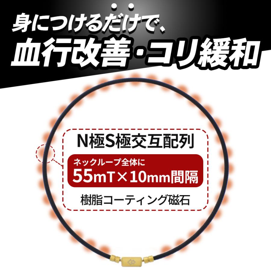 TAO 【ポイント10倍 認定代理店】当店限定 コラントッテ ベーシック