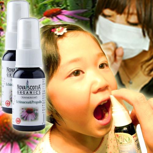 エキナセア スプレー 2本セット : 磁気ネックレス通販 ほぐしや本舗