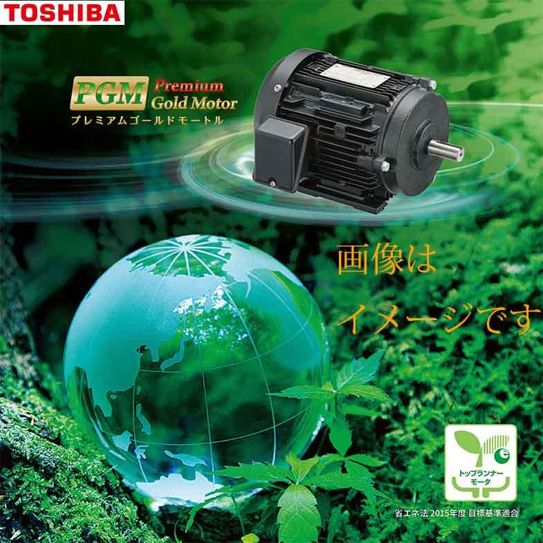 TOSHIBA（東芝） 東芝プレミアムゴールドモートル IKKH3-FBKA21E-6P 