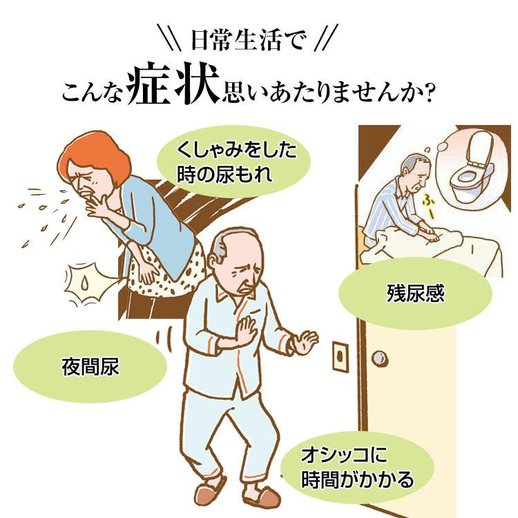 八味地黄丸 【第2類医薬品】 初回限定 1箱|hohoemi-club|03