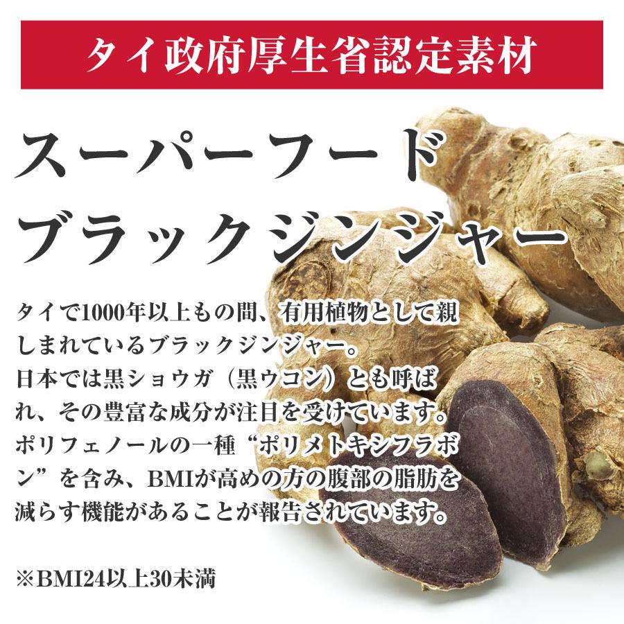 黒しょうがプラス 初回限定 おなかの脂肪 内臓脂肪 皮下脂肪を減らす 機能性表示食品 1袋 約1ヶ月分｜hohoemi-club｜03