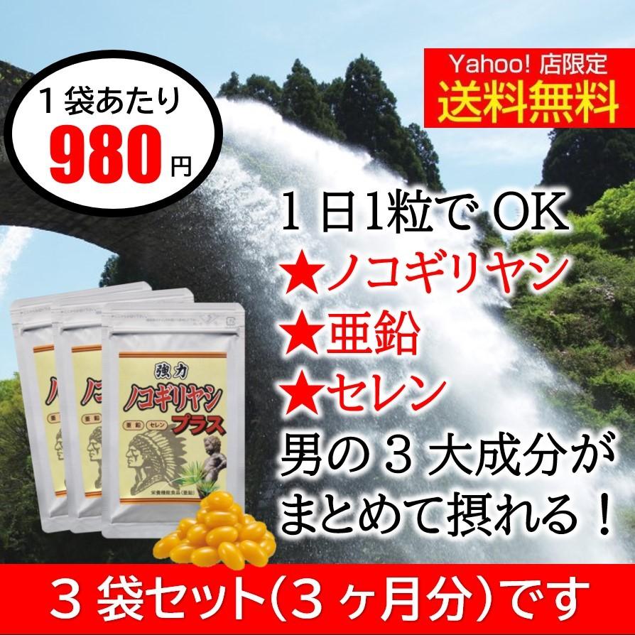 ノコギリヤシ サプリ 亜鉛 カタログギフトも 3ヶ月分 強力ノコギリヤシ セレン 夜 おすすめ 男性 サプリメント 宝力本舗