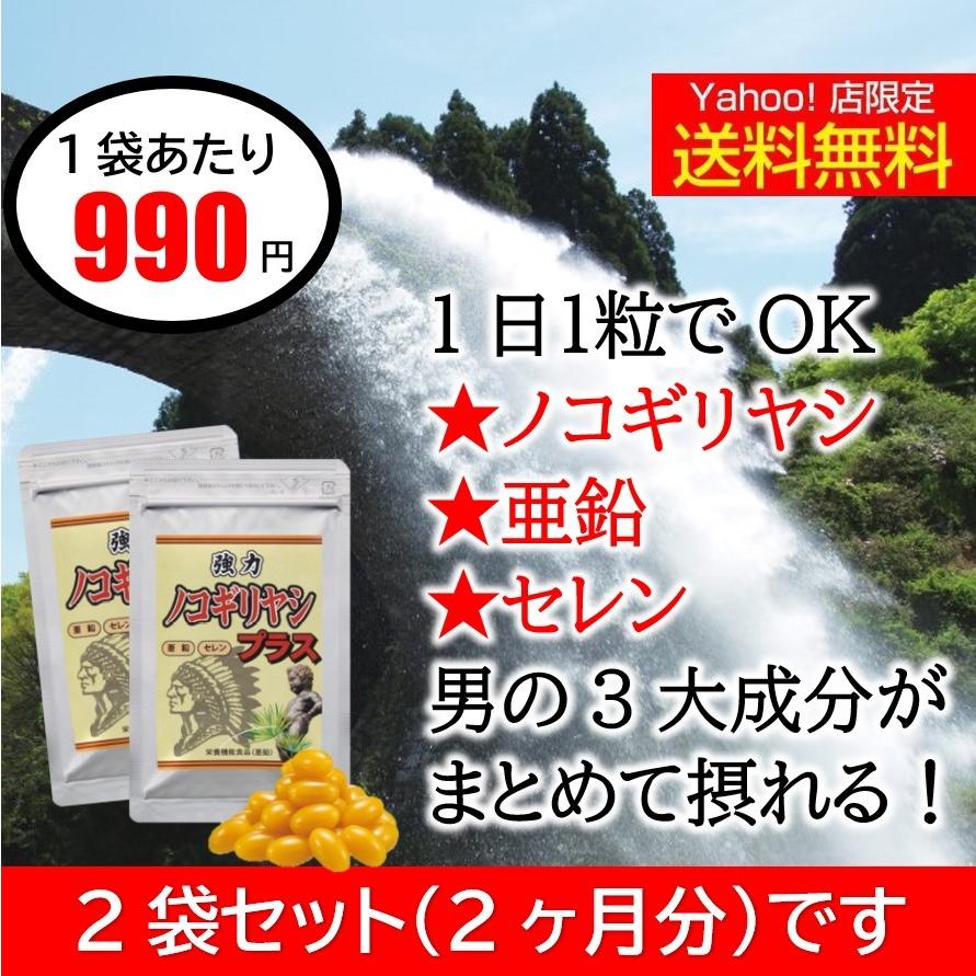 ノコギリヤシ サプリ 亜鉛 2ヶ月分 強力ノコギリヤシ 男性 休日 セレン サプリメント おすすめ 宝力本舗