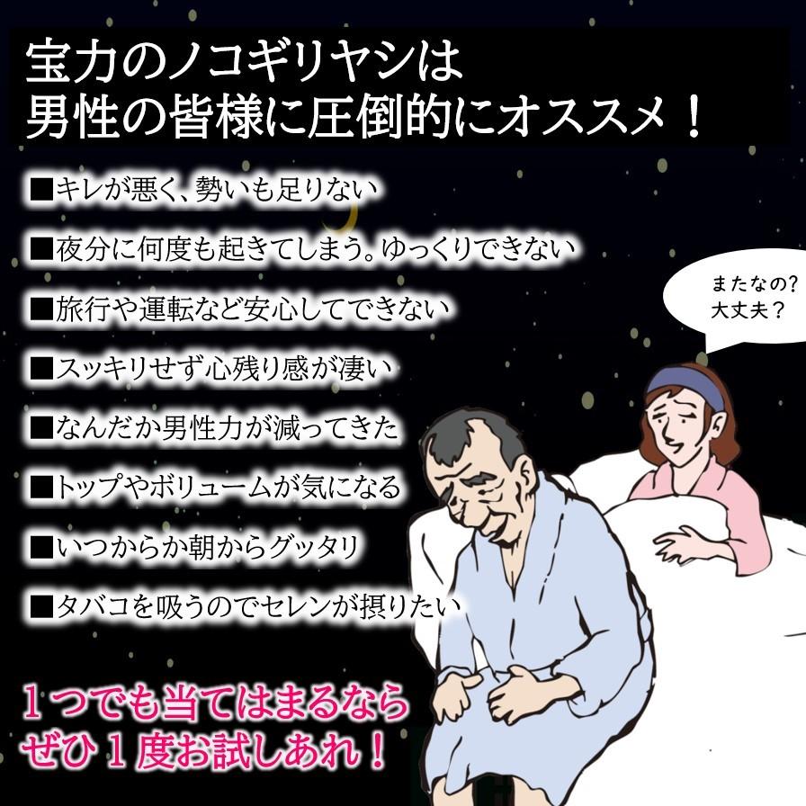 ノコギリヤシ サプリ 亜鉛 2ヶ月分 強力ノコギリヤシ 男性 休日 セレン サプリメント おすすめ 宝力本舗