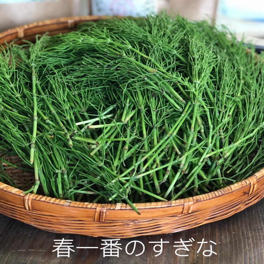 すぎな茶 スギナ茶 すぎな粉 無農薬 湯布院産 薬草茶 カルシウム マグネシウム ケイ素 健康維持茶 (30g × 1袋) :101:ほほえみ工房Yahoo!ショッピング店 - 通販 - Yahoo!ショッピング すぎな茶 スギナ茶 すぎな粉 無農薬 湯布院産 薬草茶 カルシウム マグネシウム ケイ素 健康維持茶 (30g × 1袋) :101:ほほえみ工房Yahoo!ショッピング店 - 通販 - Yahoo!ショッピング