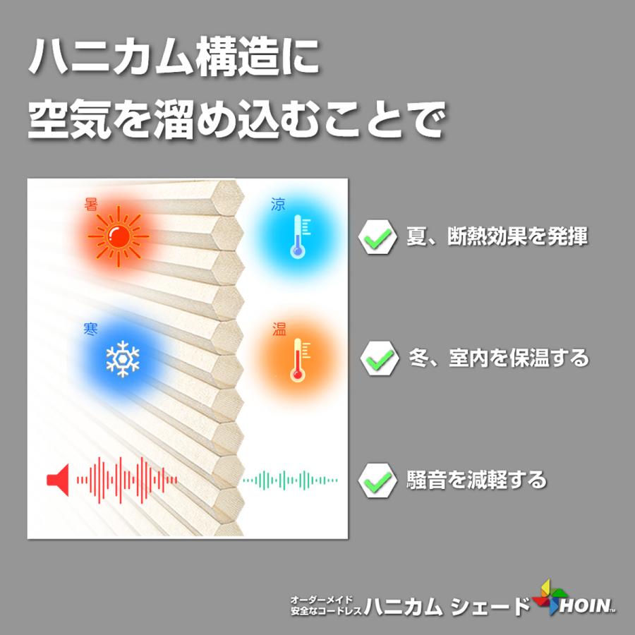 激安卸販売新品 ハニカムシェード プリーツスクリーン コードレス 非遮光 ツーウェイ式 オーダー 幅100 1cm 1cm 丈100 1cm 1cm Wantannas Go Id