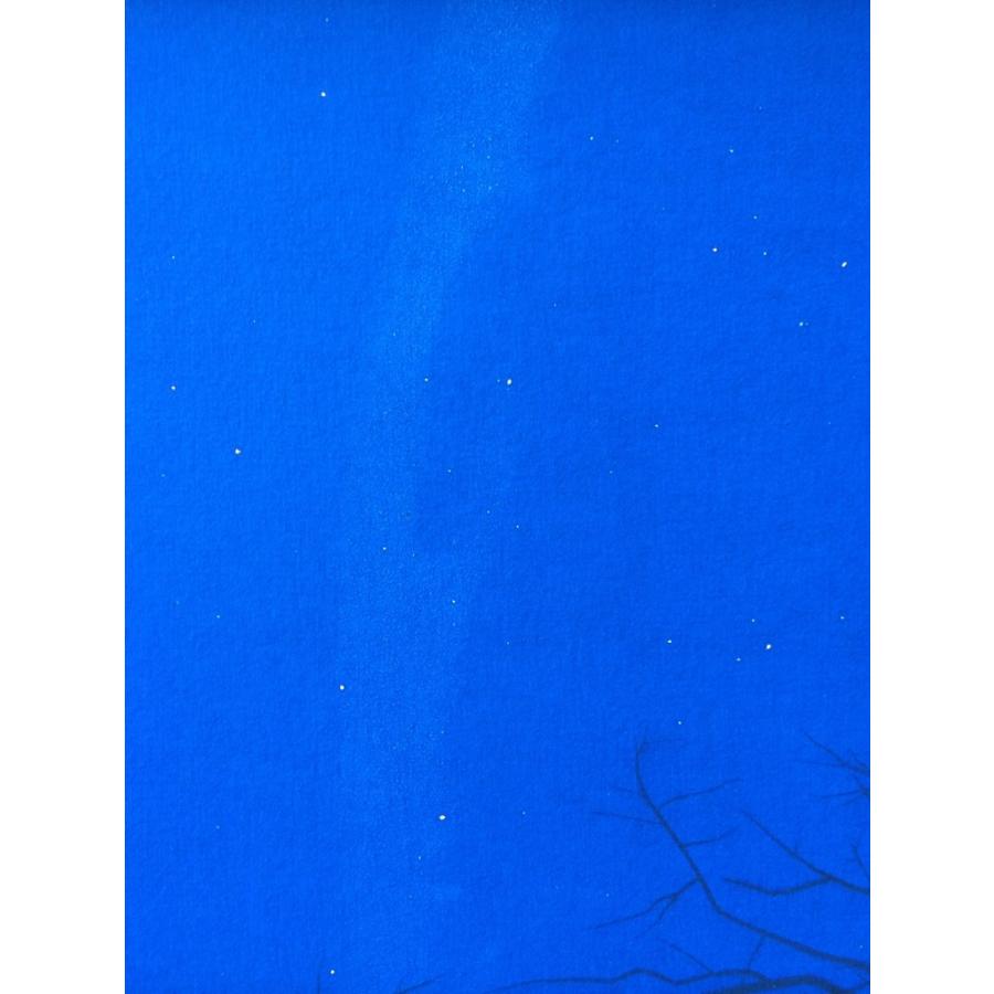 寂静阿弥陀経説法趾〈畠中光享筆〉 【額装】 : 方丈堂出版 - 通販