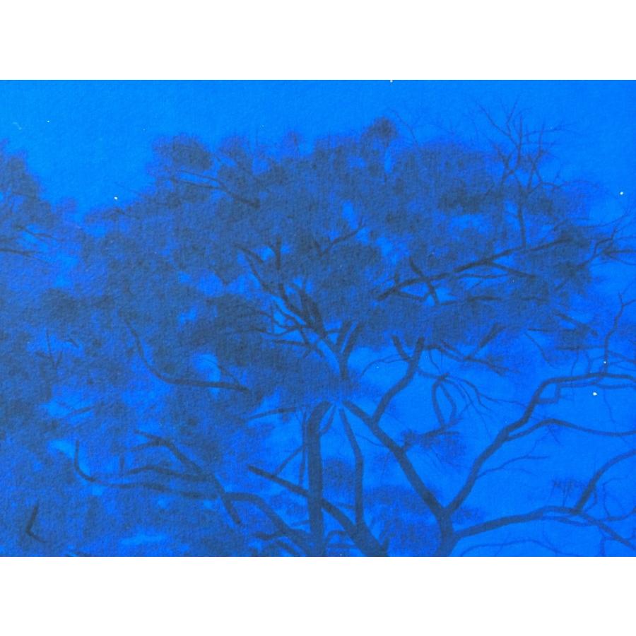 寂静阿弥陀経説法趾〈畠中光享筆〉 【額装】 : 方丈堂出版 - 通販