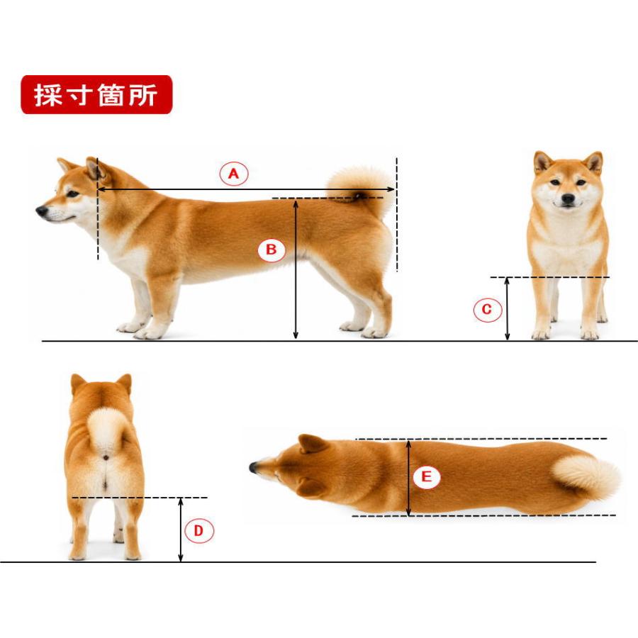 犬用車椅子 歩行器 中型犬用 オーダーメイド 2輪 室内 歩行補助 老犬