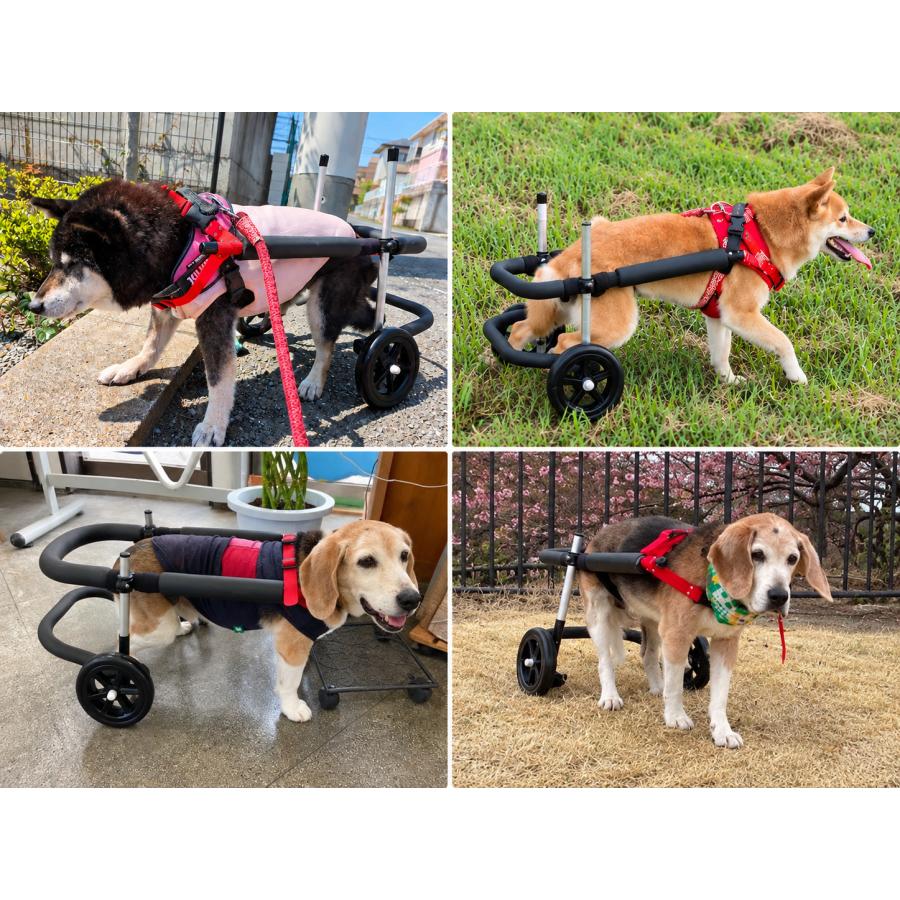 犬用車椅子 2輪 中型犬用 オーダーメイド 歩行器 歩行補助 老犬 介護
