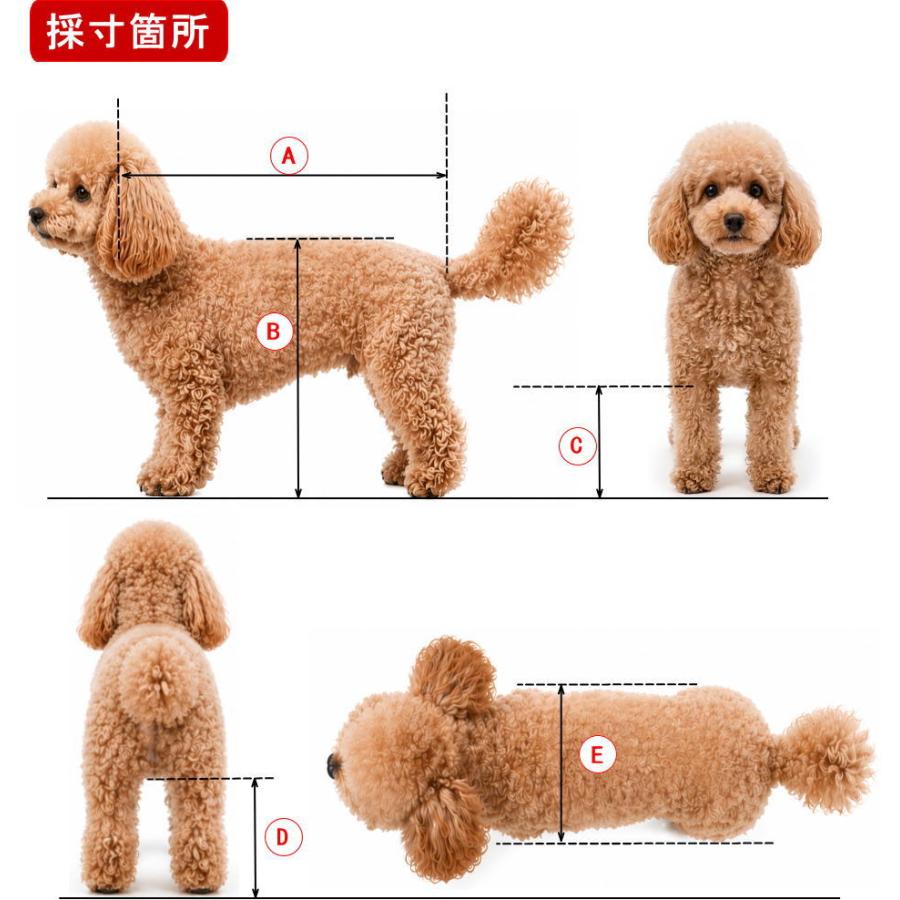 犬用車椅子 歩行器 小型犬用 オーダーメイド 2輪 室内 歩行補助 老犬