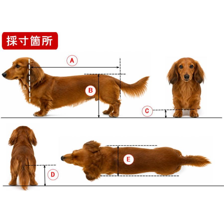 犬用車椅子 歩行器 小型犬用 オーダーメイド 2輪 室内 歩行補助 老犬