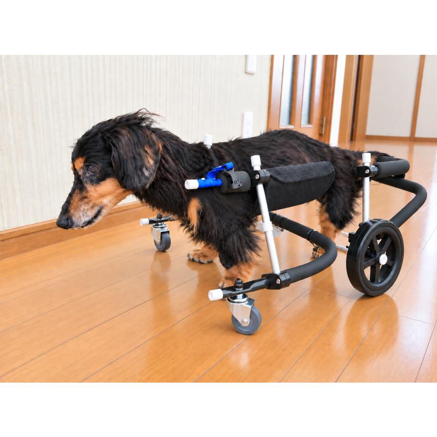 犬用車椅子 2輪 小型犬用 オーダーメイド 歩行器 歩行補助 老犬 介護