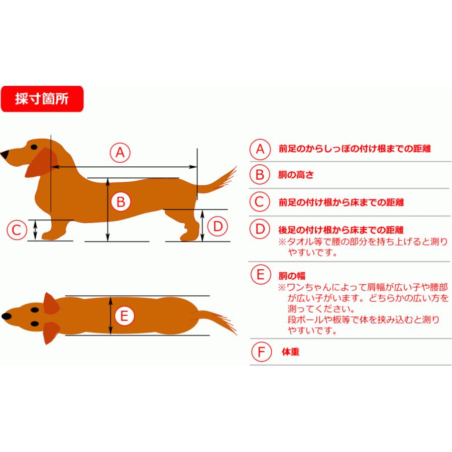 犬用車椅子 歩行器 小型犬用 オーダーメイド 4輪 室内 歩行補助 老犬 介助 運動 リハビリ 加齢 寝たきり 介護｜hokensya-ys｜07