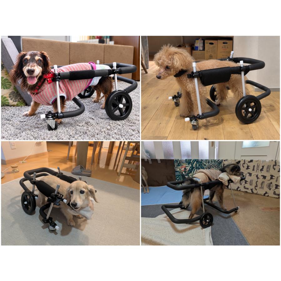 犬用車椅子 4輪 小型犬用 オーダーメイド 歩行器 歩行補助 老犬 介護