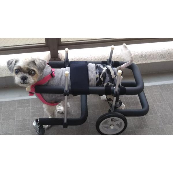 犬用車椅子 4輪 小型犬用 オーダーメイド 歩行器 歩行補助 老犬 介護