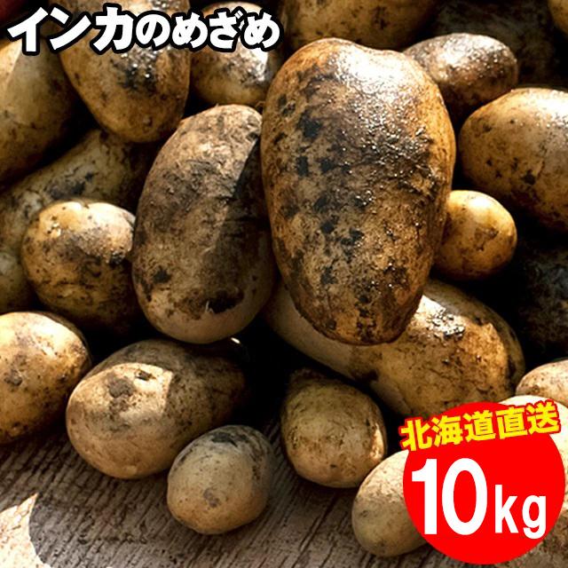 出荷開始中 越冬じゃがいも 送料無料 北海道産 インカのめざめ 出荷開始中 越冬じゃがいも 送料無料 北海道産 インカのめざめ