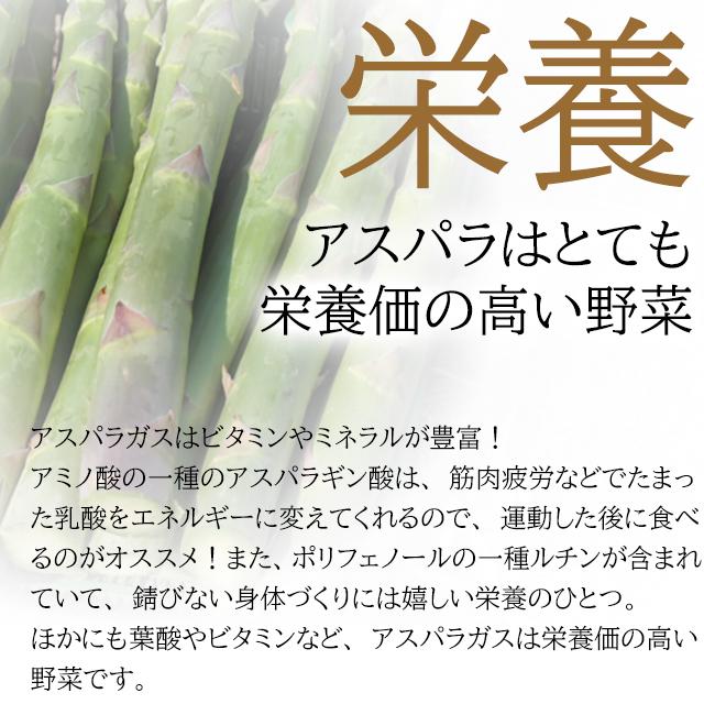 送料無料 北海道長沼近郊産 グリーンアスパラ(2L)500g / 北海道産 野菜 ５００ｇ 500グラム ２Ｌ 大きい アスパラガス グリーン 旬 旬野菜 春野菜｜hokkaido-gourmation｜04