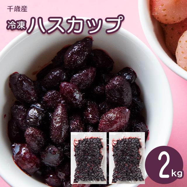 プレゼント フルーツ フローズン ハスカップ 送料無料 北海道千歳産 