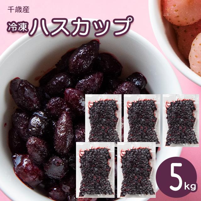 超新作】 北海道の果実 令和5年収穫ハスカップ 冷凍 ５kg thebabysense.ca