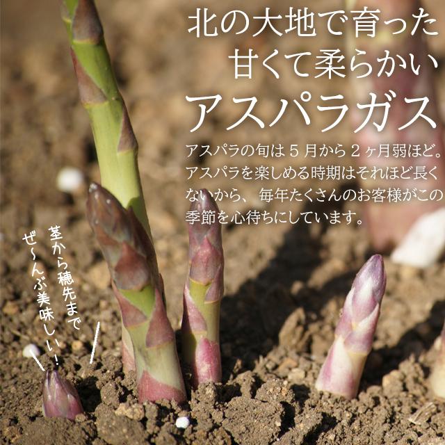 予約受付中 北海道 アスパラ 送料無料 北海道長沼産 イエスクリーン栽培 ホワイトアスパラ 3l以上 1kg 北海道 春野菜 Sg 096 Yc W 3l 1kg ギフト グルメ北海道 通販 Yahoo ショッピング