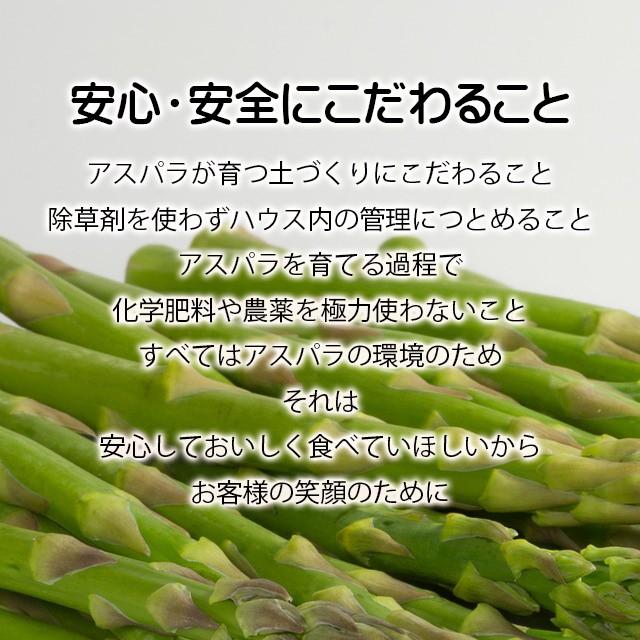 21年ご予約承り中 4月出荷開始 北海道 アスパラ ギフト 送料無料 北海道 大空町 松田さんのグリーンアスパラガス ハウス栽培 2lサイズ 500g 500グラム Sg 098 Matsuda Gasupara500g ギフト グルメ北海道 通販 Yahoo ショッピング